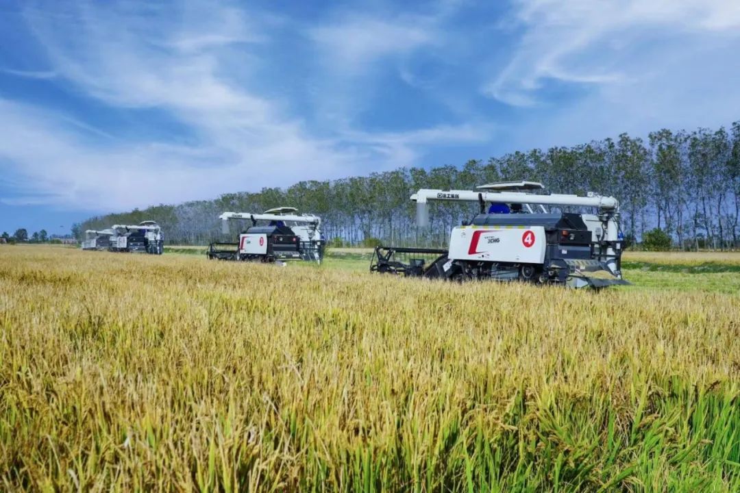 w88win优德(中国)官方网站