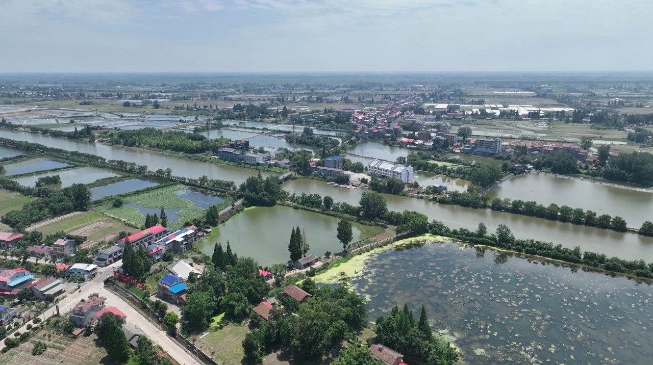 w88win优德(中国)官方网站