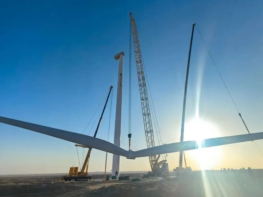 w88win优德(中国)官方网站