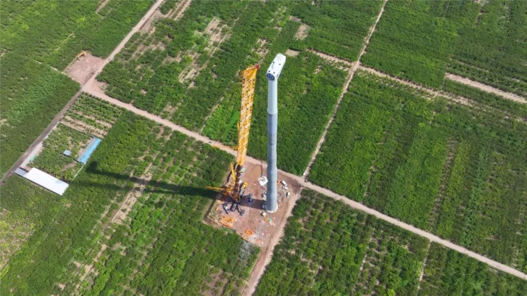 w88win优德(中国)官方网站