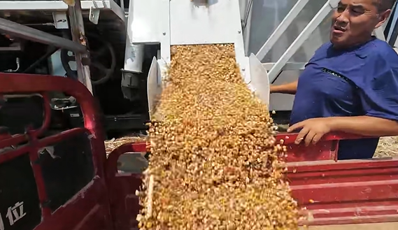 w88win优德(中国)官方网站