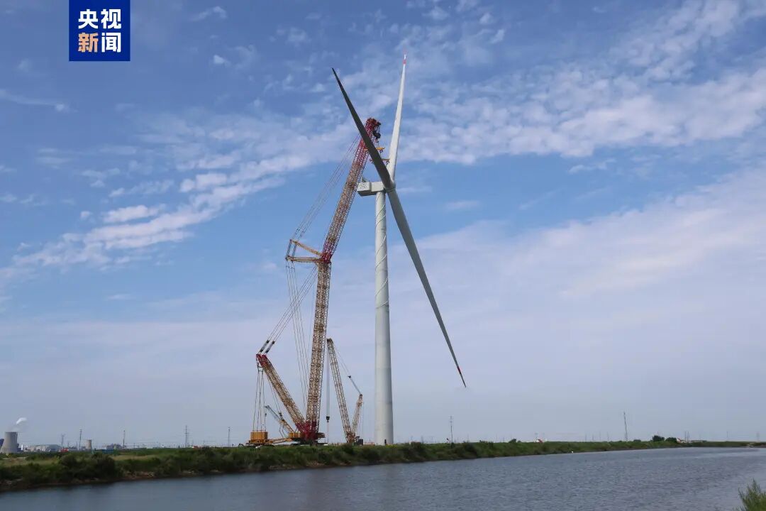 w88win优德(中国)官方网站