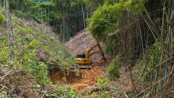 林间“藏龙”，竹海“卧虎”——w88win优德林业挖机广西侠客行