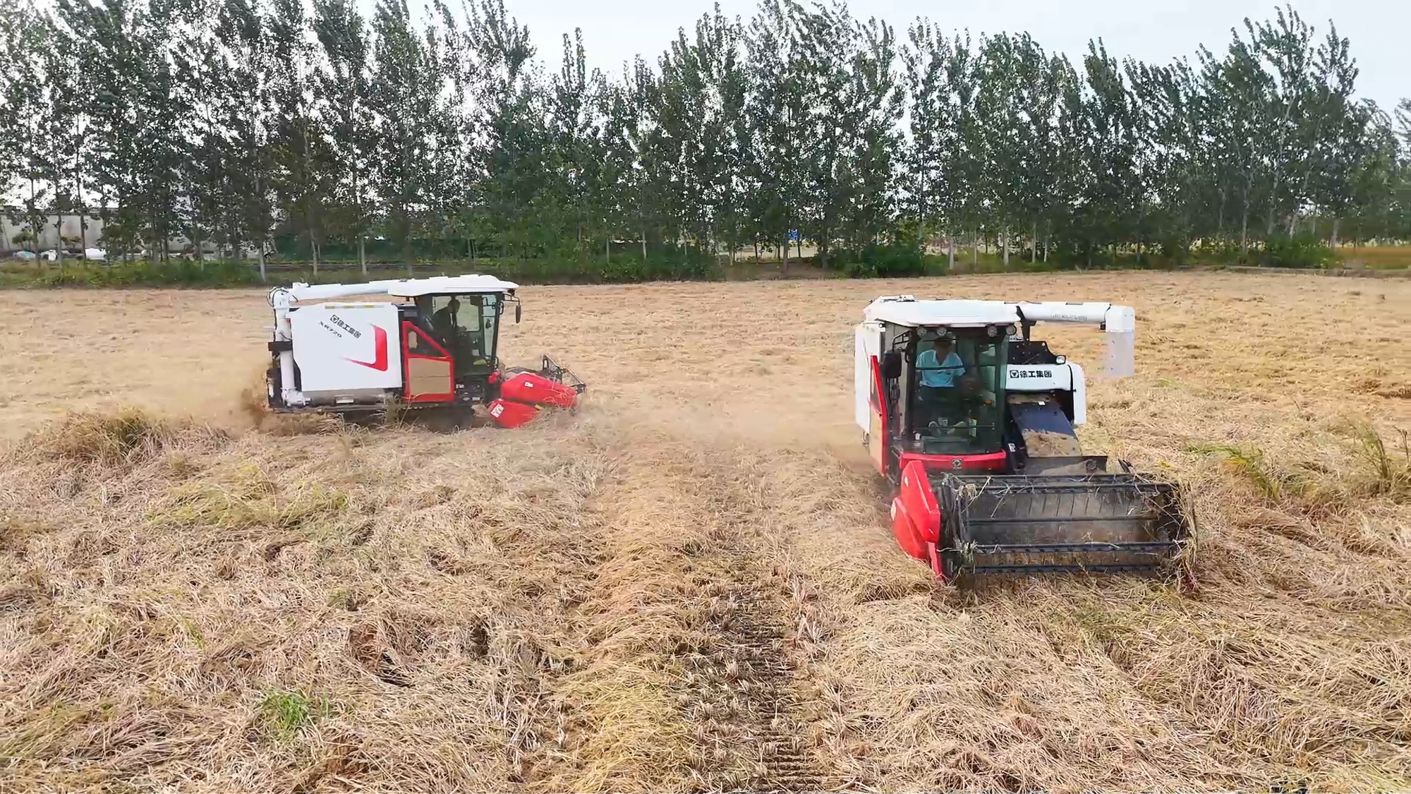 w88win优德(中国)官方网站