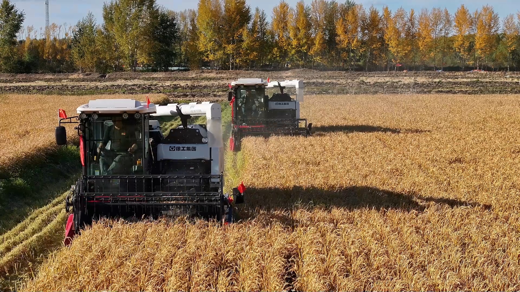 w88win优德(中国)官方网站