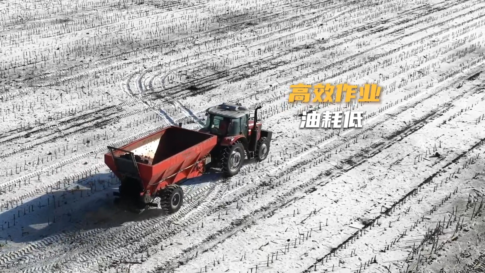 w88win优德(中国)官方网站