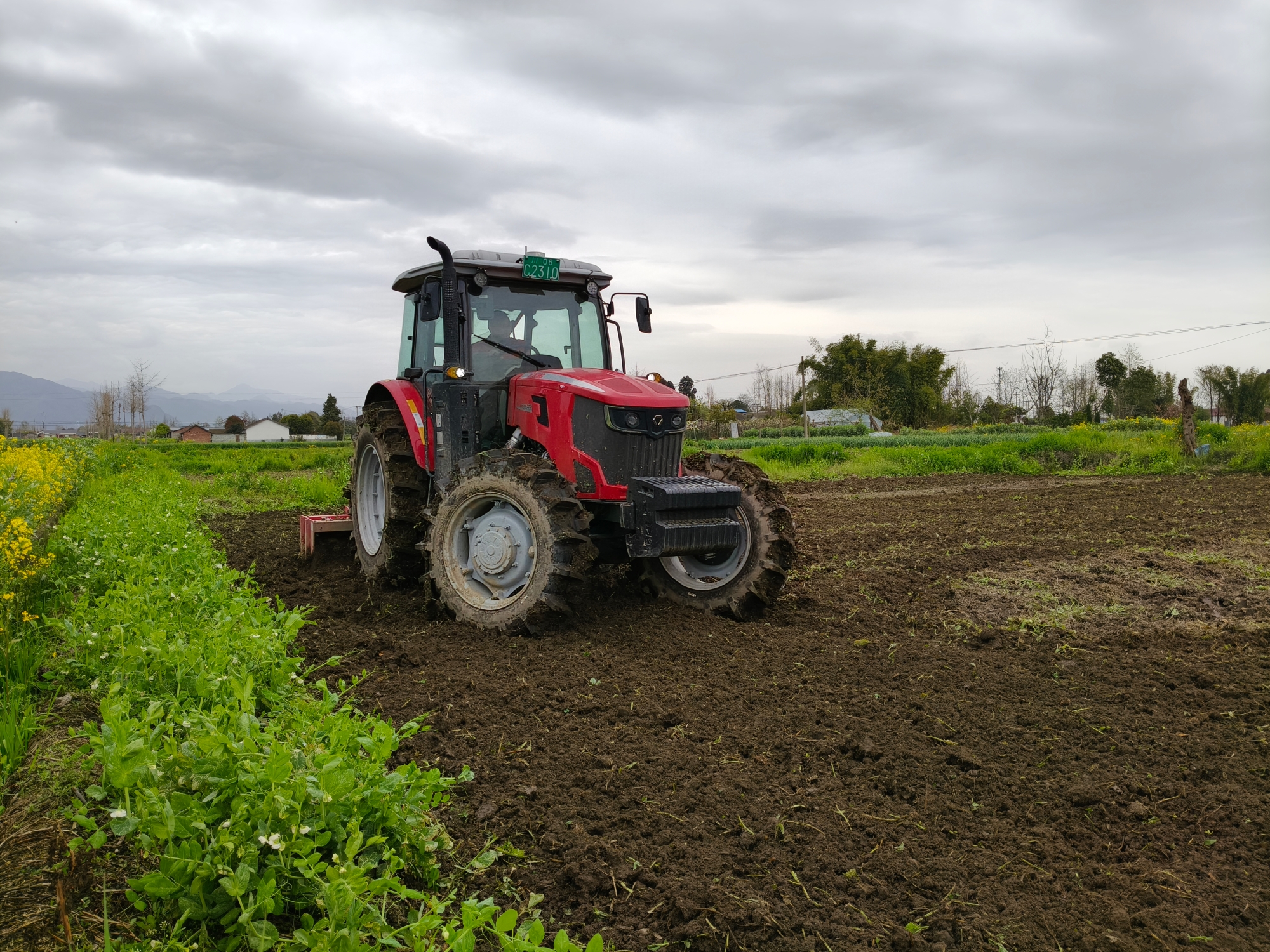 w88win优德(中国)官方网站