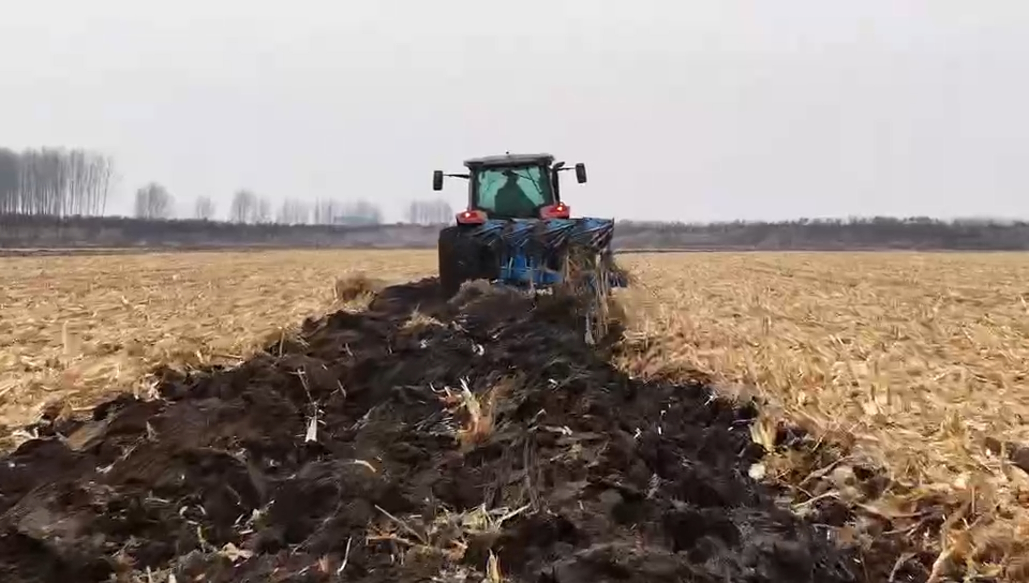 w88win优德(中国)官方网站