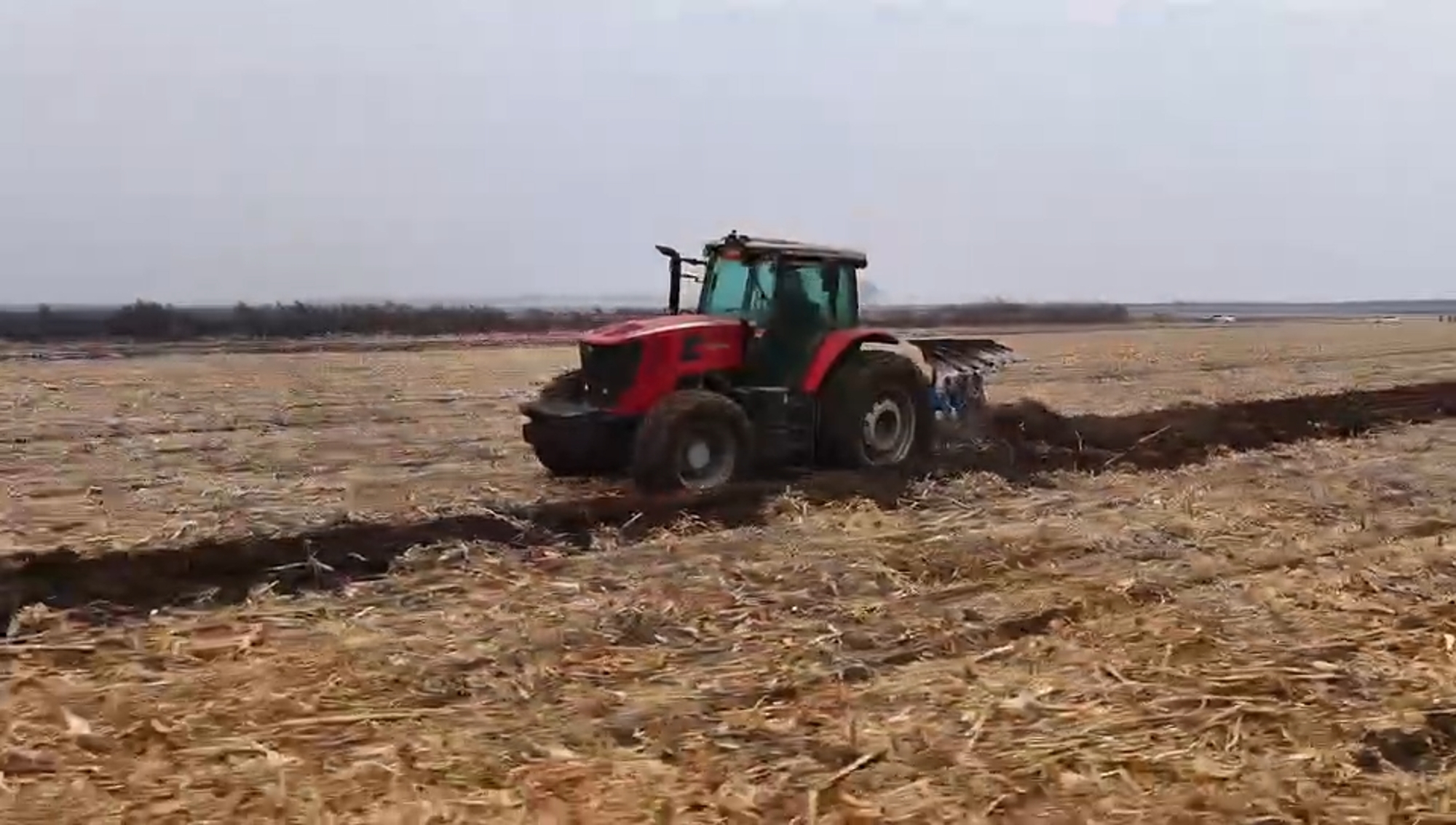 w88win优德(中国)官方网站