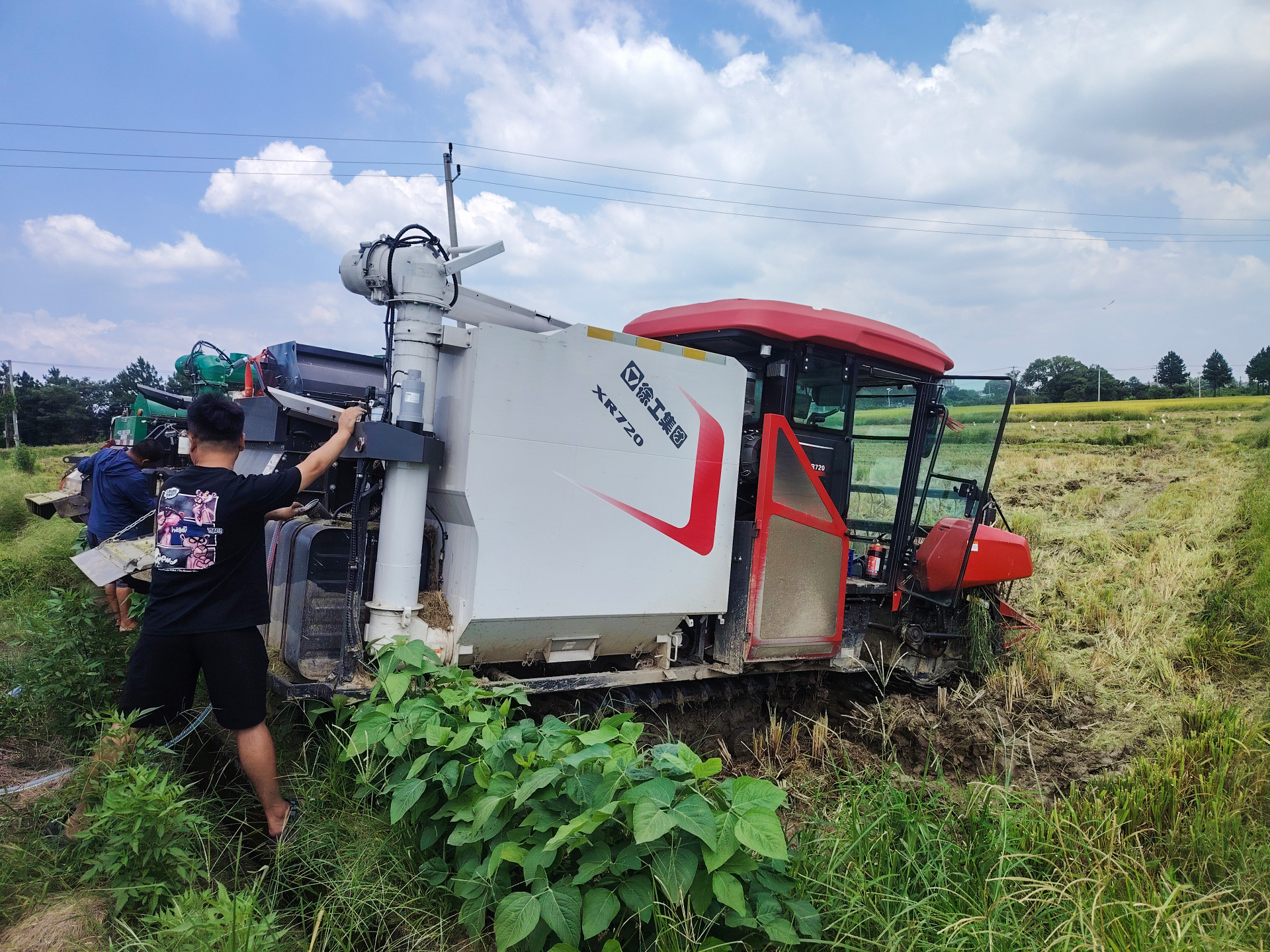 w88win优德XR720收割机｜江西再生稻收获正其时